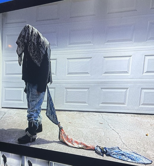 LA IS NOT SAFE — photo 3