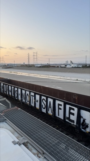LA IS NOT SAFE — photo 14