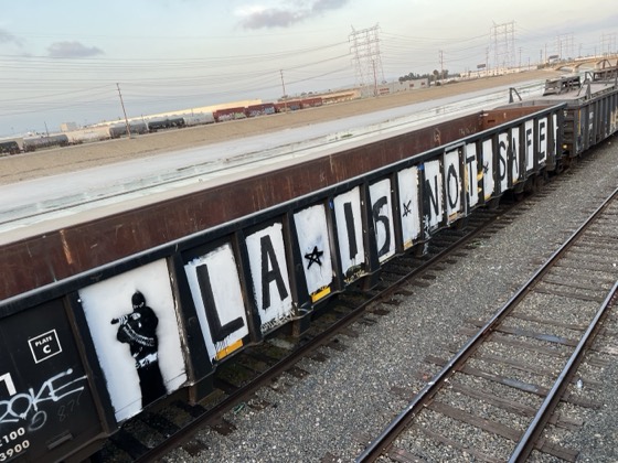 LA IS NOT SAFE — photo 15