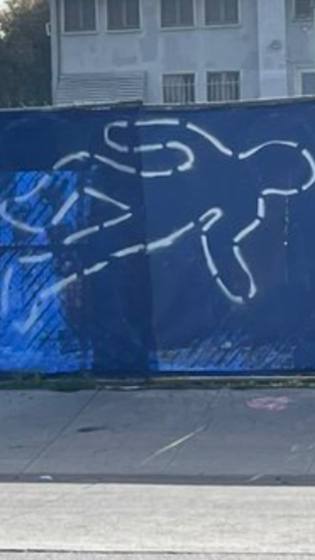 LA IS NOT SAFE — photo 22